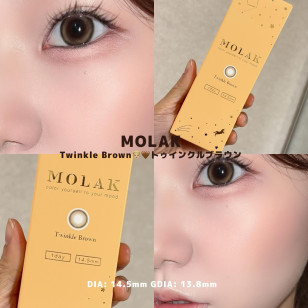 MOLAK 1day Twinkle Brown モラク ワンデー トゥインクルブラウン